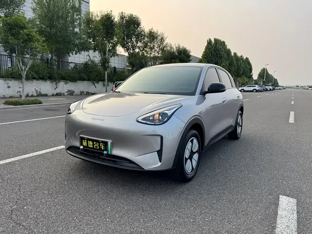 Geely Galaxy Starry Wish 2025 310km Youth Edition