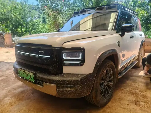 Haval Meng Long NEV 2025 Model Base Version