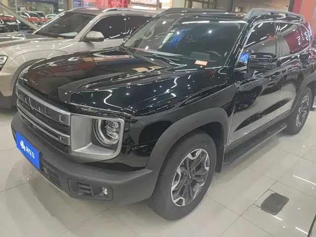 Haval Big Dog 2024 2.0T DCT Chinese Rural Dog Edition
