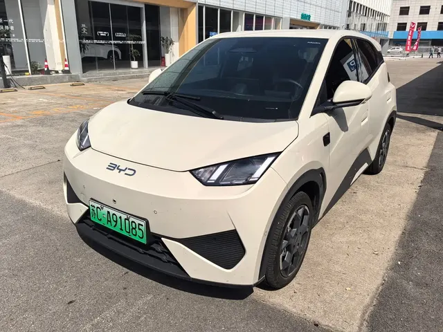 BYD Seagull 2025 Smart Drive Edition 305km Freedom Version