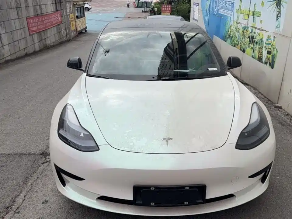 Tesla Model 3 2022 Model Rear-Wheel Drive Version
