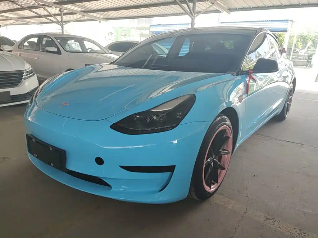 Tesla Model 3 2022 Model Rear-Wheel Drive Version