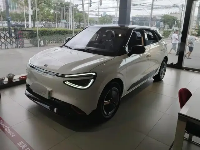 Dongfeng Yipai Nano 01 2024 Co-creation Edition WE