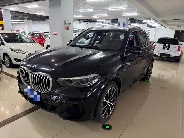 BMW X5 (Import) 2021 xDrive30i X Design Package