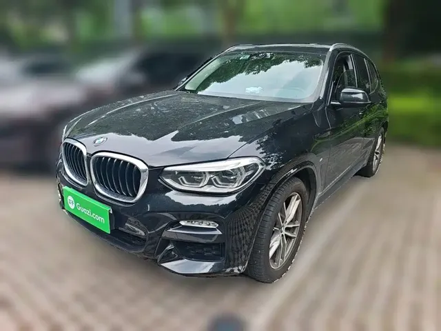 BMW X3 2018 xDrive25i M Sport Package China V