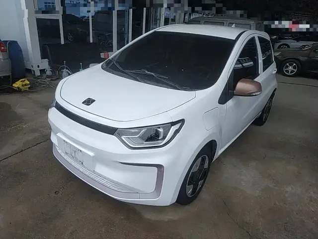 Sehol Flower Fairy 2023 251km Four-leaf Clover 36kW