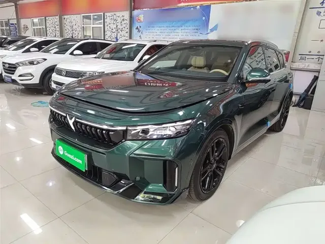 Voyah Auto VOYAH FREE 2024 Ultra Long Range Intelligent Driving Edition