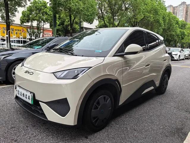 BYD Seagull 2025 Smart Drive Edition 305km Vitality Version