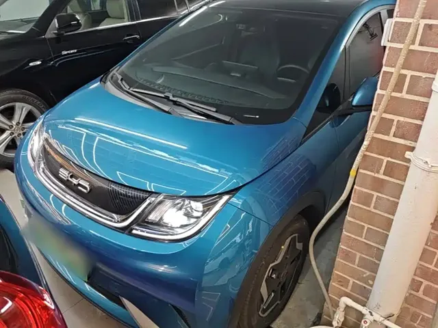 BYD Dolphin 2021 Model 405km Fashion Edition