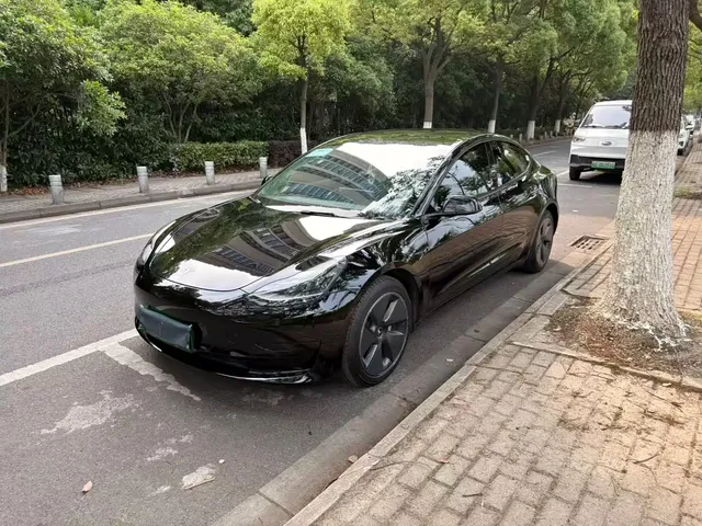 Tesla Model 3 2022 Model Rear-Wheel Drive Version