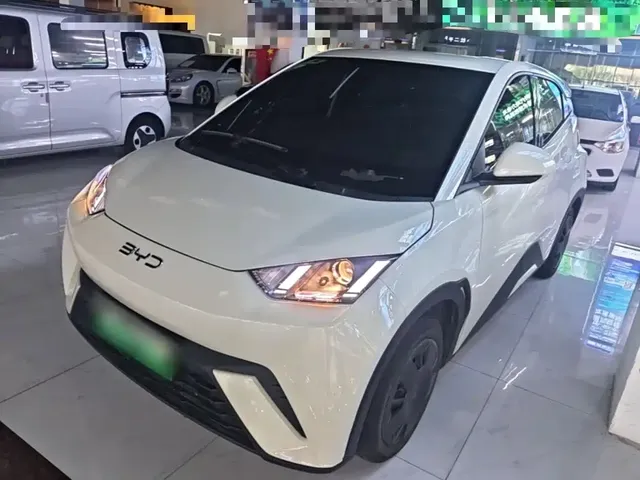 BYD Seagull 2025 Smart Drive Edition 305km Vitality Version