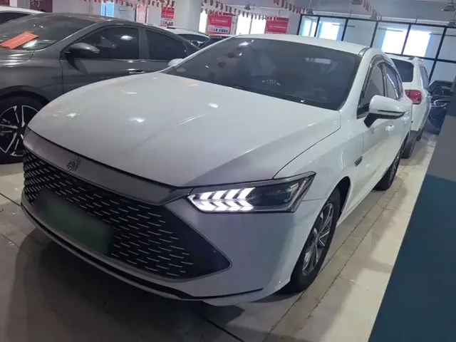 BYD Qin PLUS 2023 Champion Edition DM-i 55KM Leading