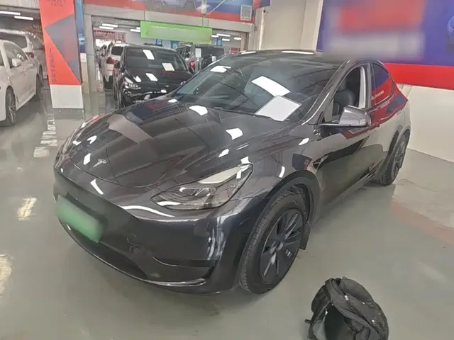 Tesla Model Y 2024 Rear-Wheel Drive Version