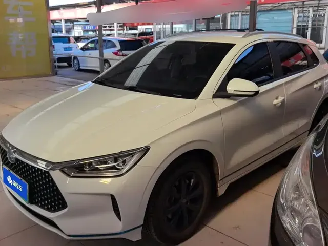 BYD e2 2019 Standard Range Intelligent Comfort