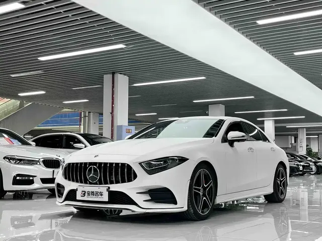 Mercedes-Benz CLS 2020 CLS 300 Luxury