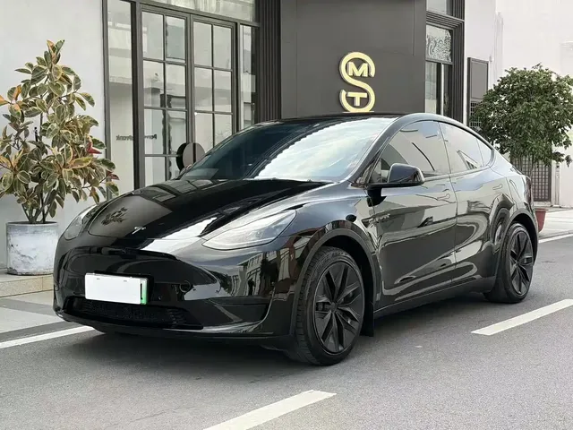 Tesla Model Y 2022 Rear-Wheel Drive Version
