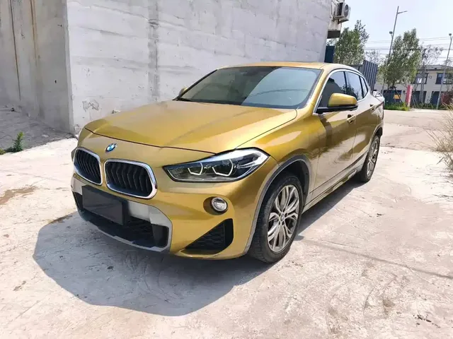 BMW X2 (Import) 2019 sDrive25i Leading M Off-Road Package China VI