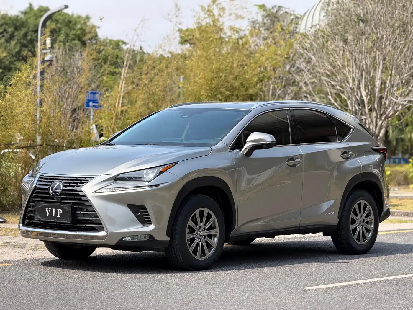 Lexus NX 2020 300h FWD F Sport China VI