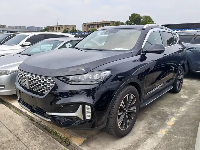 WEY VV6 2021 2.0T 2WD Smart Joy+