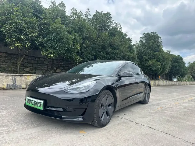 Tesla Model 3 2022 Model Rear-Wheel Drive Version