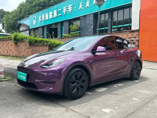 Tesla Model Y 2024 Rear-Wheel Drive Version