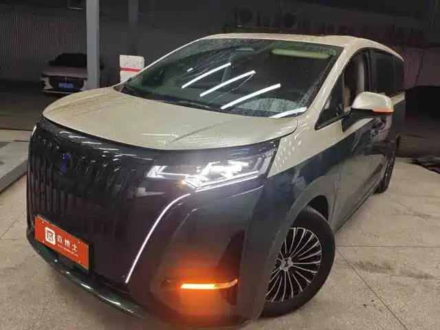 Denza D9 2022 EV 600 4WD Flagship