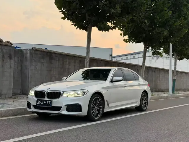 BMW 5 Series 2020 530Li Leading M Sport Package