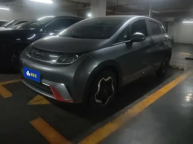 BYD Dolphin 2021 405km Freedom Edition