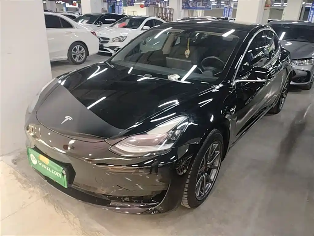 Tesla Model 3 2021 Facelift Standard Range RWD Upgrade 3D1