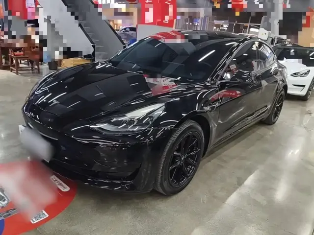 Tesla Model 3 2022 Model Rear-Wheel Drive Version