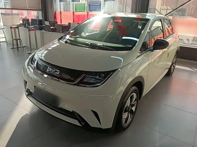BYD Dolphin 2025 420km Freedom Edition