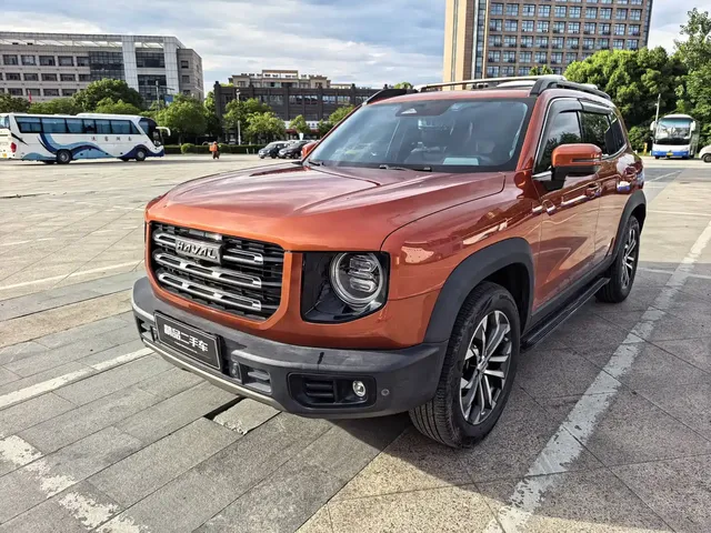 Haval Big Dog 2021 1.5T DCT 2WD Border Collie - Wangcai Edition