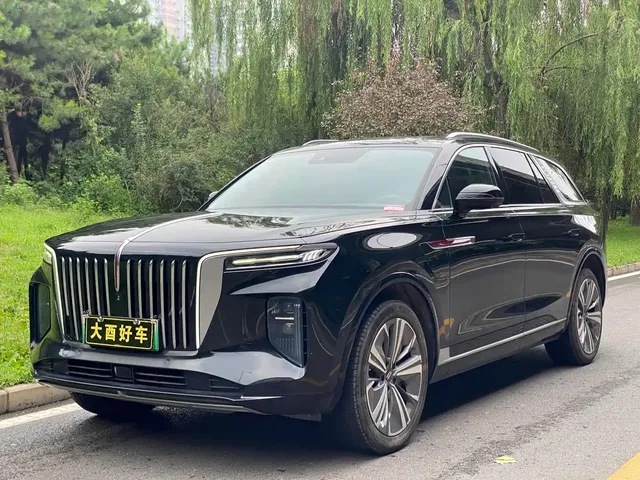 Hongqi E-HS9 2021 460km Flagship Comfort 6-seater