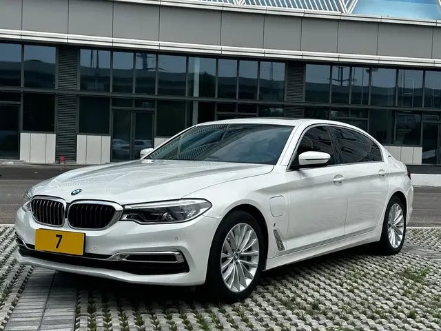 BMW 5 Series New Energy 2019 Facelift 530Le Luxury Package