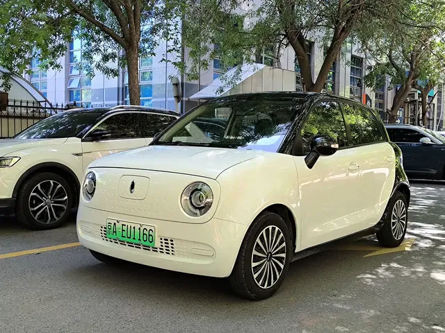 Ora Black Cat 2019 Model 351km Smart Fun Edition