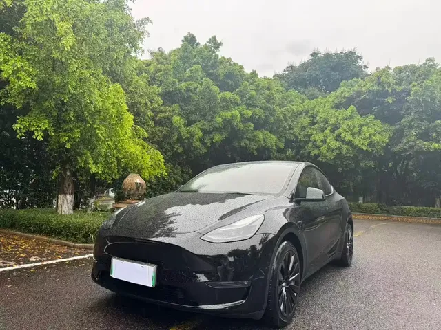 Tesla Model Y 2021 Standard Range Rear-Wheel Drive