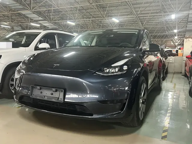 Tesla Model Y 2024 Rear-Wheel Drive Version