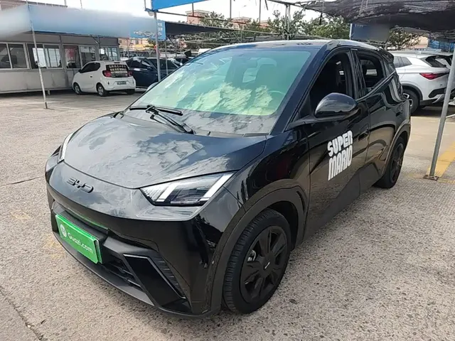 BYD Seagull 2023 Freedom Edition