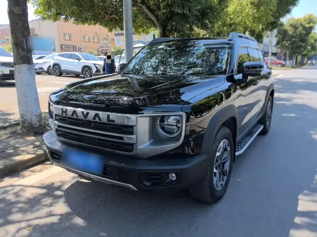 Haval Big Dog 2024 2.0T DCT Chinese Rural Dog Edition