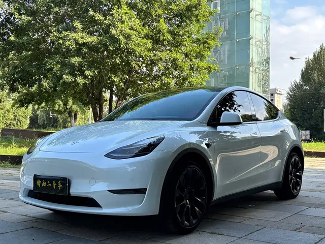 Tesla Model Y 2021 Long Range All-Wheel Drive 3D7