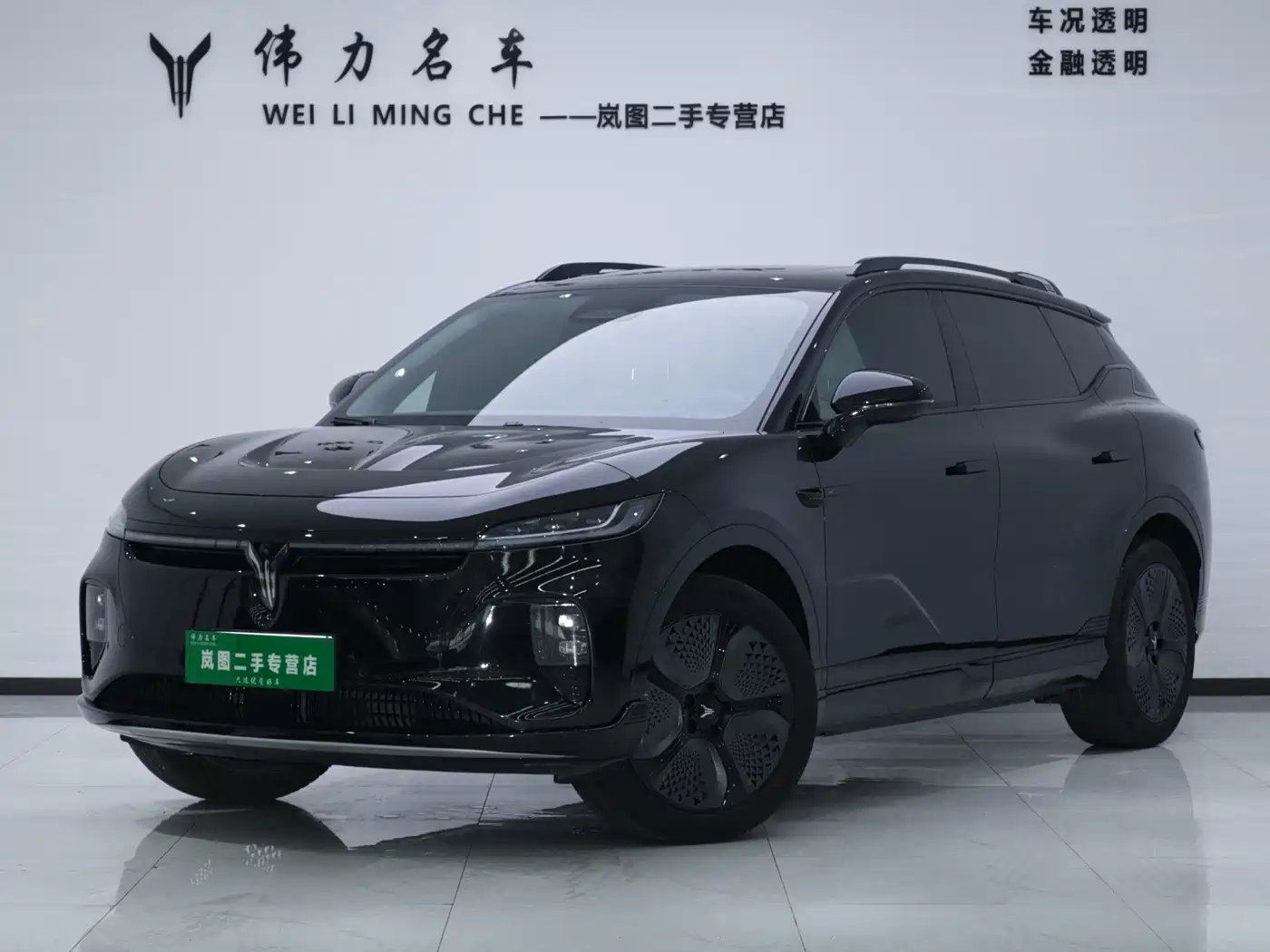 Voyah Auto Voyah Zhiyin 2024 Long Range Smart Edition