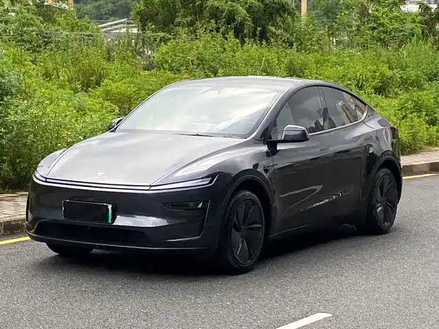 Tesla Model Y 2025 Rear-Wheel Drive