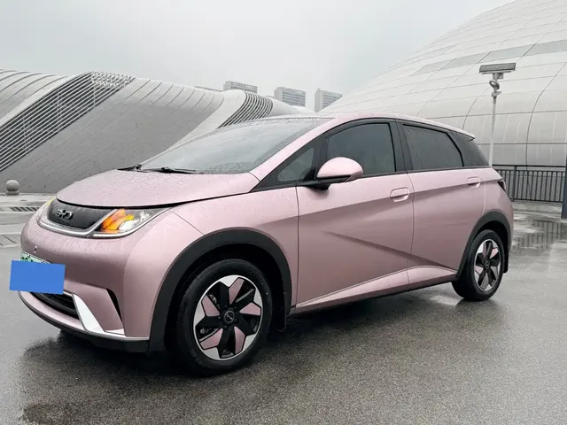 BYD Dolphin 2025 420km Freedom Edition