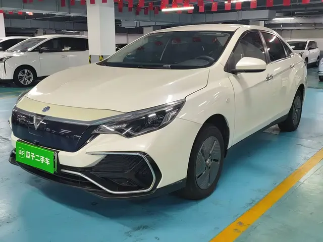 Venucia D60EV 2023 PLUS Comfort RJ Type
