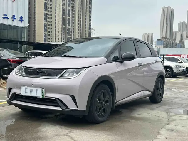 BYD Dolphin 2021 Model 405km Fashion Edition