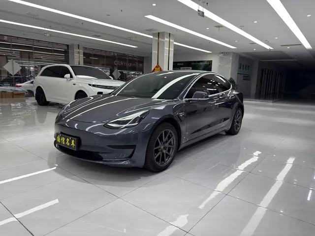 Tesla Model 3 2020 Standard Range Rear-Wheel Drive Upgrade