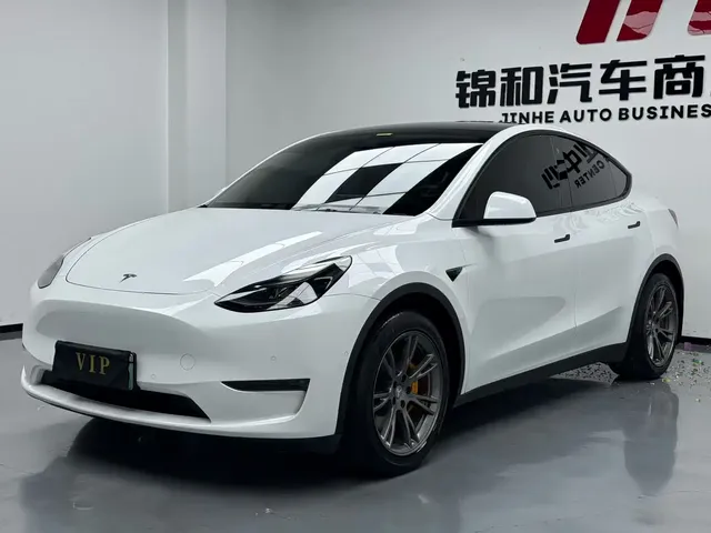 Tesla Model Y 2021 Standard Range Rear-Wheel Drive