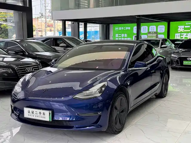 Tesla Model 3 (Import) 2019 Long Range RWD Version