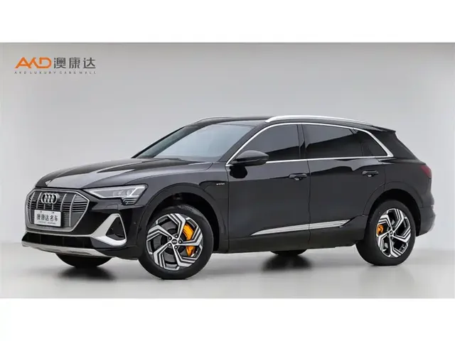 Audi e-tron 2021 50 quattro Exclusive Selection