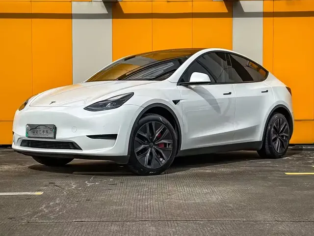 Tesla Model Y 2022 Rear-Wheel Drive Version